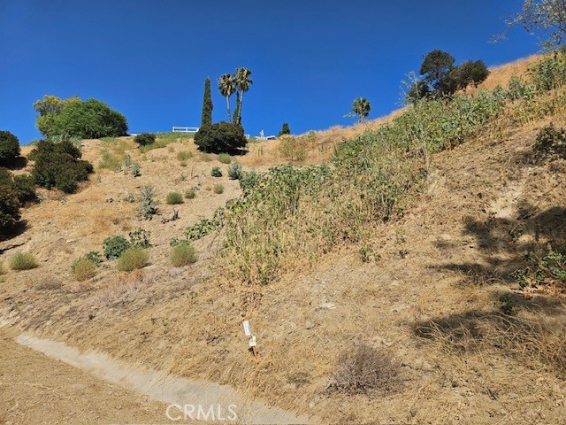 Front Image Thumbnail for CRGD25279681