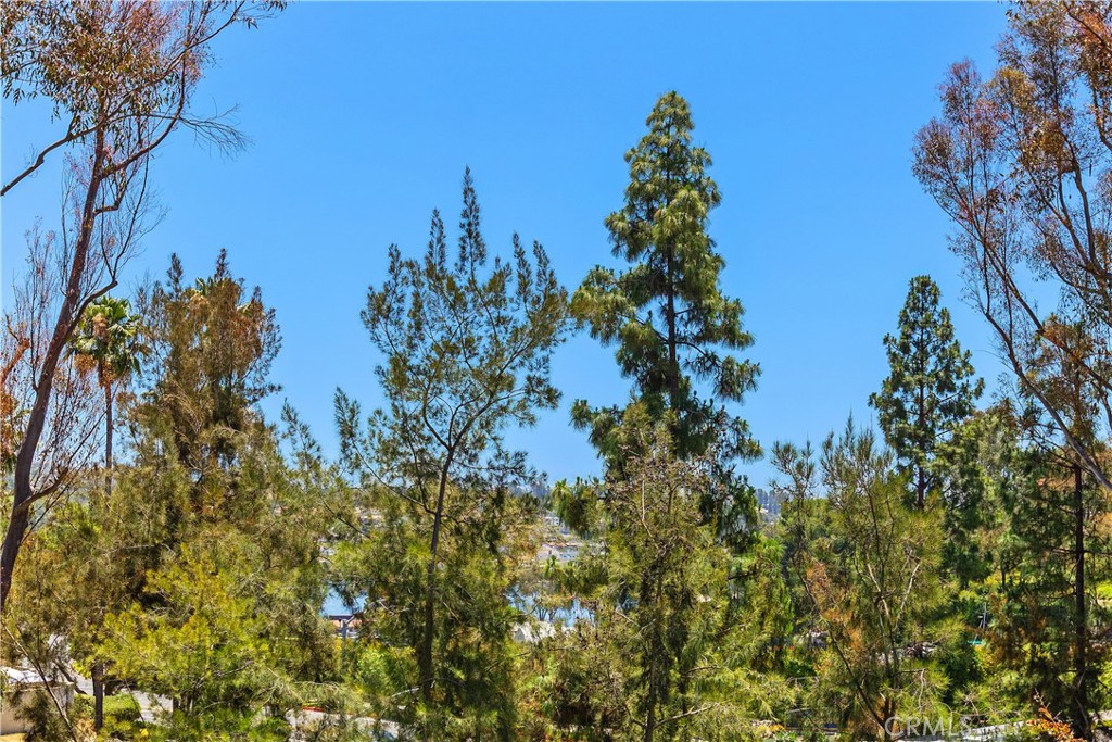 https://media.crmls.org/medias/3288ebcb-5fdf-4eb9-98a5-b916d17f41a4.jpg?preset=X-Large