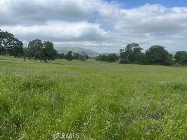 Detail Gallery Image 17 of 17 For 2463 Old Hwy, Catheys Valley,  CA 95306 - – Beds | – Baths