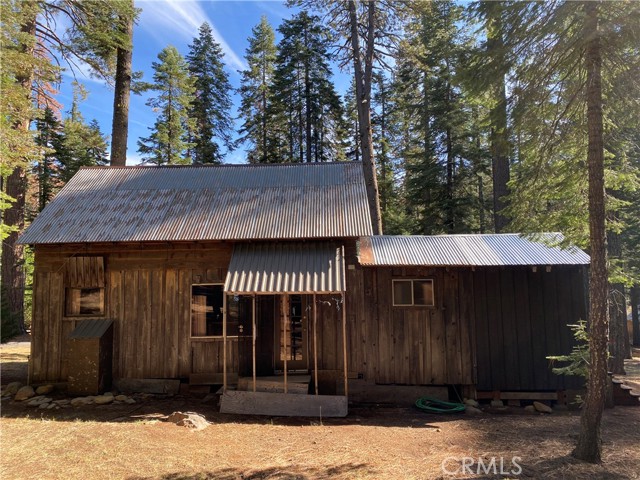 Back of Cabin