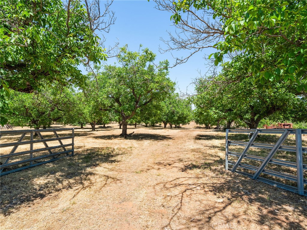 https://media.crmls.org/medias/329d691f-e999-47c9-9f66-ccfced752157.jpg?preset=X-Large