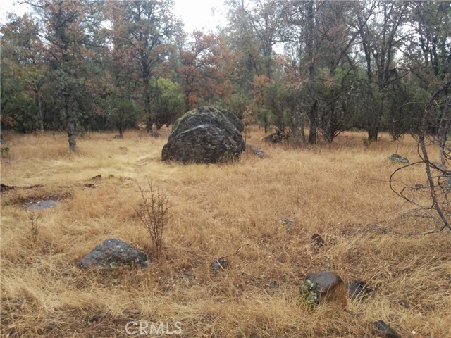 Detail Gallery Image 6 of 8 For 0 Donkey Mine Rd, Oak Run,  CA 96069 - – Beds | – Baths