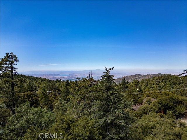 Image 2 for 24560 Bluff Rd, Idyllwild, CA 92549