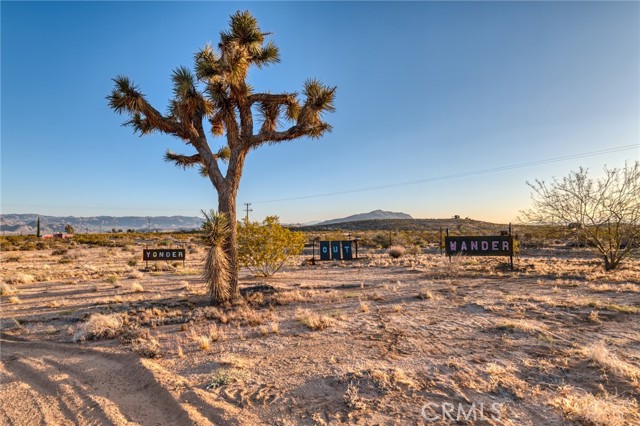 Detail Gallery Image 18 of 74 For 2953 Border Ave, Joshua Tree,  CA 92252 - 3 Beds | 2 Baths