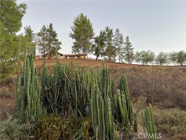 35251 Calle Campo, Temecula CA: https://media.crmls.org/medias/32aa90a5-1a7a-40a2-8208-12d3684e32eb.jpg