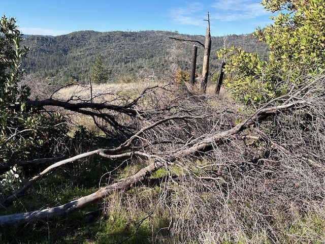 Detail Gallery Image 21 of 34 For 8870 Oro Quincy, Berry Creek,  CA 95916 - – Beds | – Baths