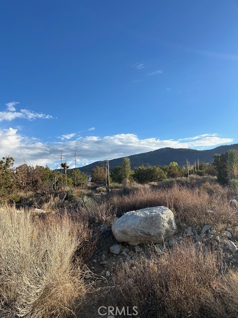 Detail Gallery Image 6 of 6 For 0 Yucca, Pinon Hills,  CA 92372 - – Beds | – Baths