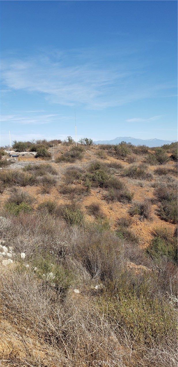 MLS #IV25264641 image #13