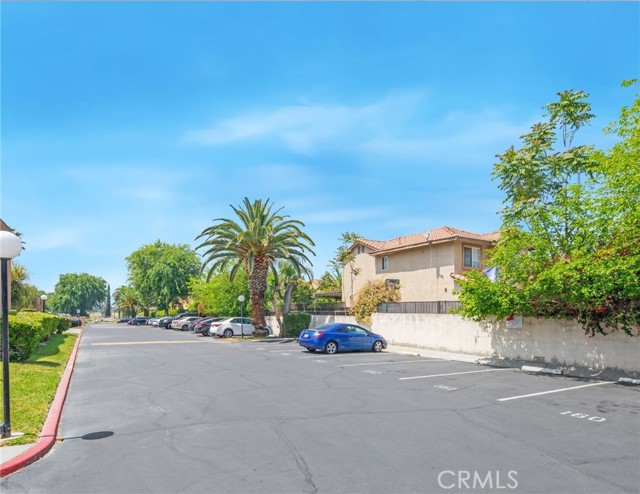 Detail Gallery Image 48 of 63 For 1066 N Orange St, Riverside,  CA 92501 - – Beds | – Baths