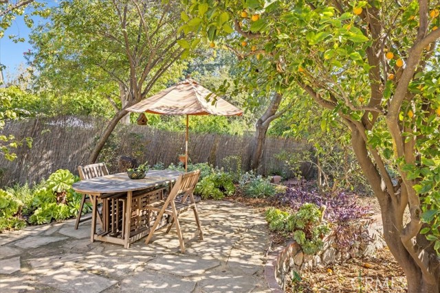 Lovely shaded spot for al frescho dining - notice the oranges and look around for Meyer Lemon, Lime, Apple, Grapefruit, Clementine and Apricot trees