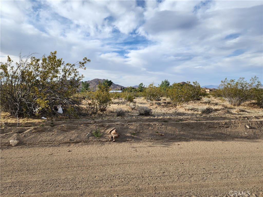 MLS #HD25110546 img 2