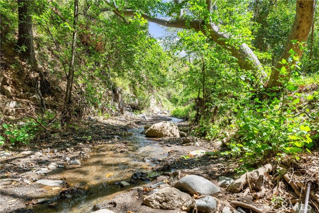 25 Hot Spring Canyon Rd, San Juan Capistrano CA: https://media.crmls.org/medias/32c83b7c-69a3-4f9e-90e2-a045aeea8913.jpg