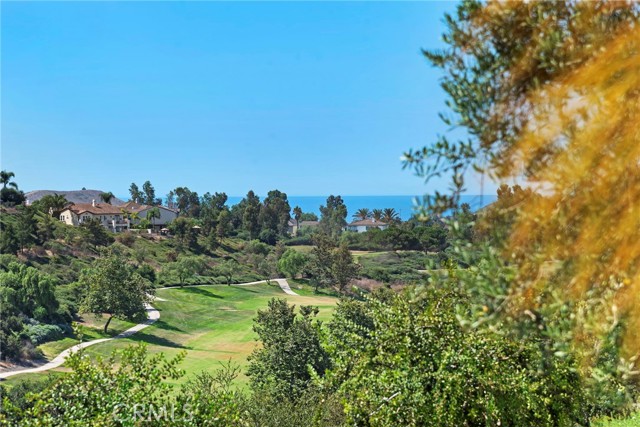 Detail Gallery Image 57 of 75 For 53 Calle Careyes, San Clemente,  CA 92673 - 5 Beds | 5/1 Baths