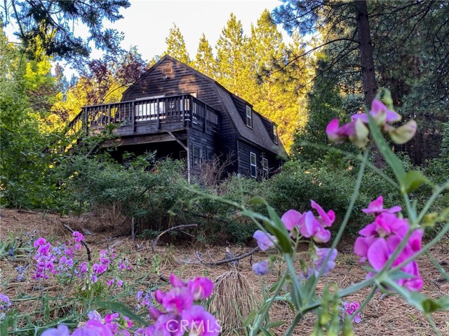 Detail Gallery Image 41 of 65 For 2737 S Old Stage Rd, Mount Shasta,  CA 96067 - 3 Beds | 2/1 Baths