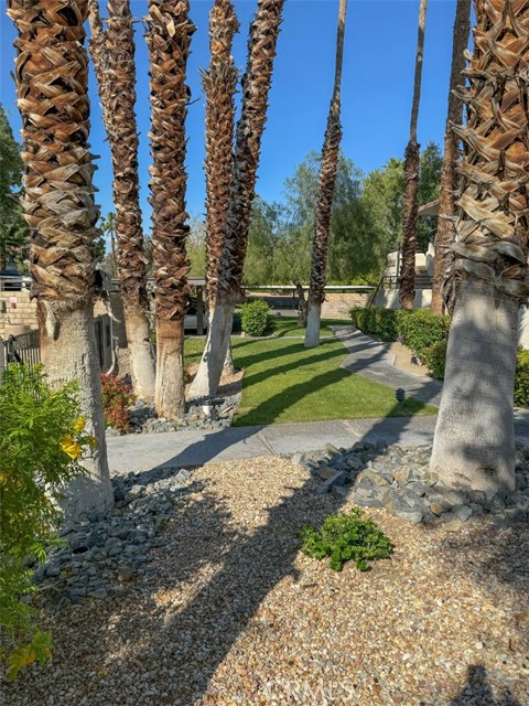 Detail Gallery Image 11 of 38 For 2825 N Los Felices Rd #212,  Palm Springs,  CA 92262 - 1 Beds | 1 Baths