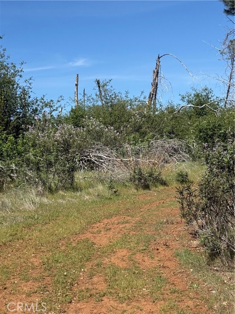 Detail Gallery Image 15 of 33 For 0 Round Valley Ranch, Paradise,  CA 95969 - – Beds | – Baths