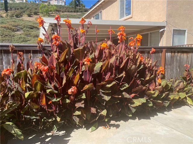 Detail Gallery Image 15 of 30 For 12 Vista Ripalti, Lake Elsinore,  CA 92532 - 4 Beds | 3 Baths