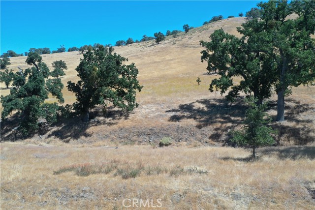 Front Image Thumbnail for CRNS26033565