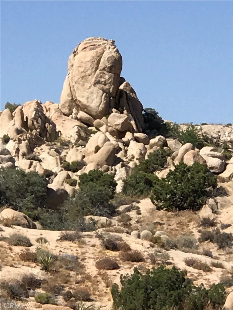 https://media.crmls.org/medias/32d95afd-396f-4d6a-ae9a-1523b3bdcefe.jpg?preset=X-Large