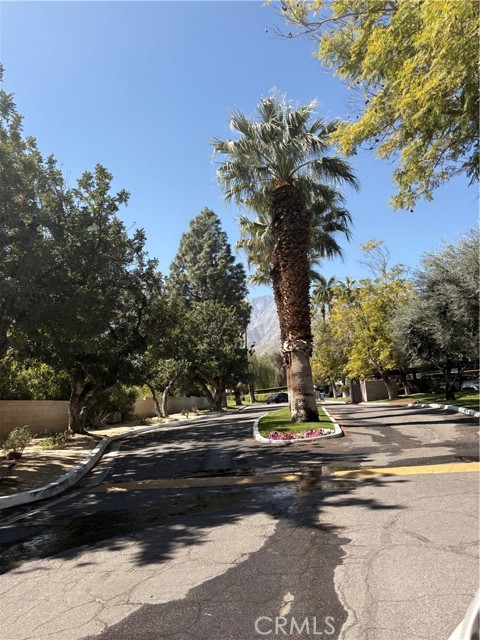 Detail Gallery Image 43 of 44 For 510 N Villa Ct, Palm Springs,  CA 92262 - 1 Beds | 1 Baths