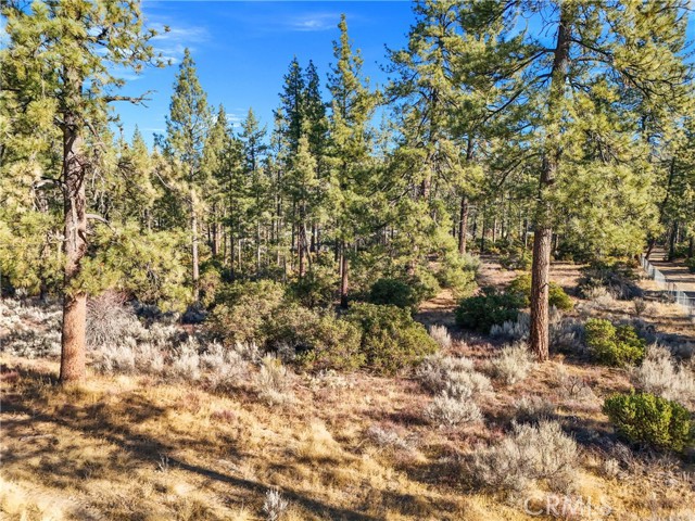 Detail Gallery Image 14 of 20 For 1 Pipe Creek Rd, Mountain Center,  CA 92561 - – Beds | – Baths