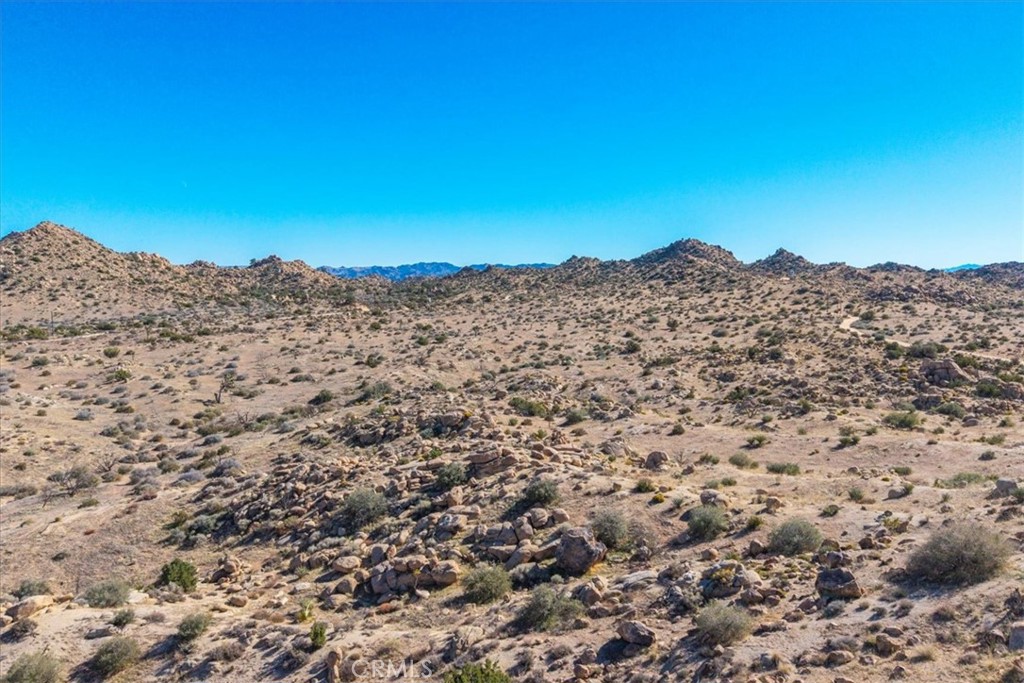 MLS #JT25250010 image #29