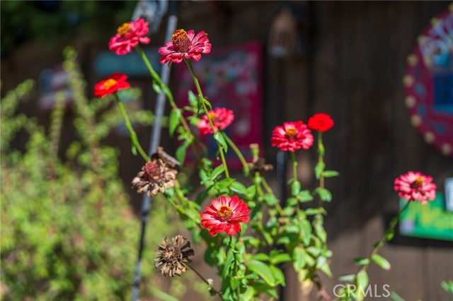 1225 Center Street, Anaheim, California 92805, ,Multi-Family,For Sale,Center,PW25008867