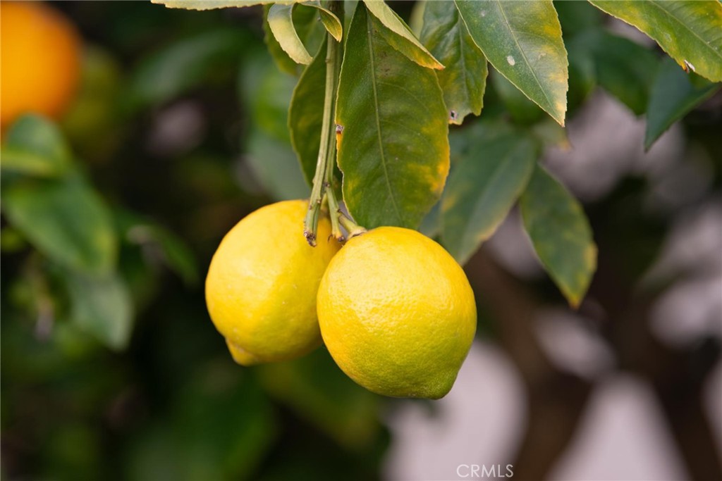 https://media.crmls.org/medias/32f8671e-084f-4b6a-bfcc-66853c35582e.jpg?preset=X-Large