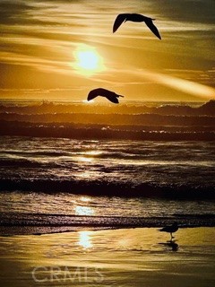 Detail Gallery Image 7 of 49 For 4216 Ocean, Manhattan Beach,  CA 90266 - 2 Beds | 3 Baths