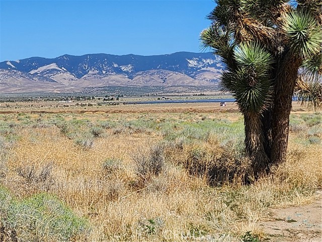 0 Vac/Vic 235 Stw/Ave A4, Lancaster, California 93536, ,Land,For Sale,0 Vac/Vic 235 Stw/Ave A4,CRSR23131601