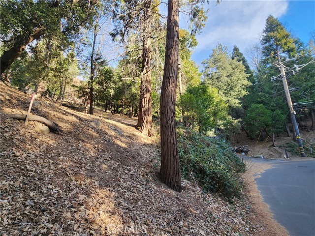 0 Basel Drive, Crestline CA: https://media.crmls.org/medias/32ff54eb-ffa1-4550-b349-89f3875419b9.jpg
