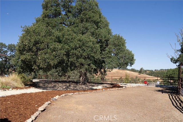 Detail Gallery Image 44 of 63 For 16450 State Highway 36, Red Bluff,  CA 96080 - 3 Beds | 2 Baths
