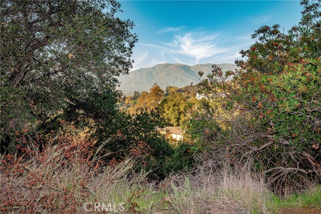 1 Bayberry Drive photo 1