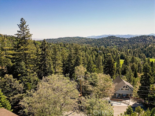 Detail Gallery Image 46 of 50 For 26352 Spyglass Dr, Lake Arrowhead,  CA 92352 - 4 Beds | 3/1 Baths