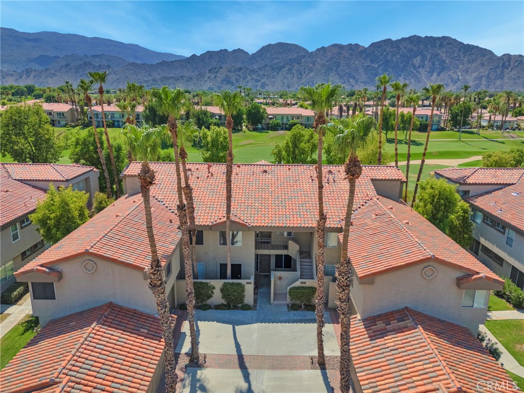 55353 Winged Foot