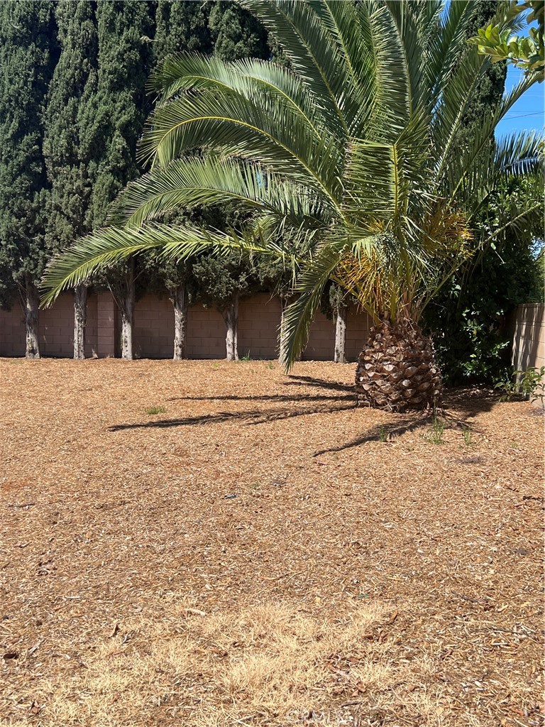 https://media.crmls.org/medias/331acf0a-6201-408a-815c-2db1296afea3.jpg?preset=X-Large