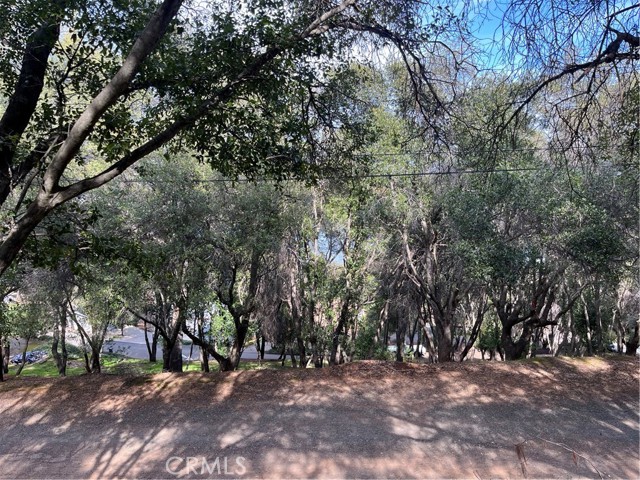 Detail Gallery Image 7 of 7 For 8452 Soda Bay Rd, Kelseyville,  CA 95451 - – Beds | – Baths