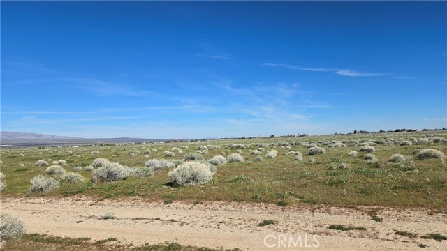 Detail Gallery Image 20 of 39 For 0 Avenue B-8 Vicinity 265th St W, –,  CA 93536 - – Beds | – Baths