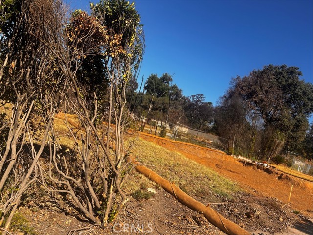 1201 E Altadena Drive, Altadena CA: https://media.crmls.org/medias/332da74b-1366-4de7-b447-bb7f002a1624.jpg