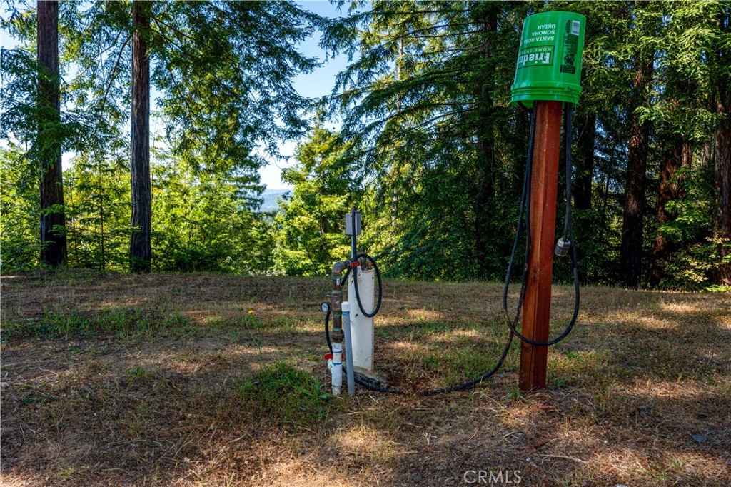 MLS #LC25132464 image #9