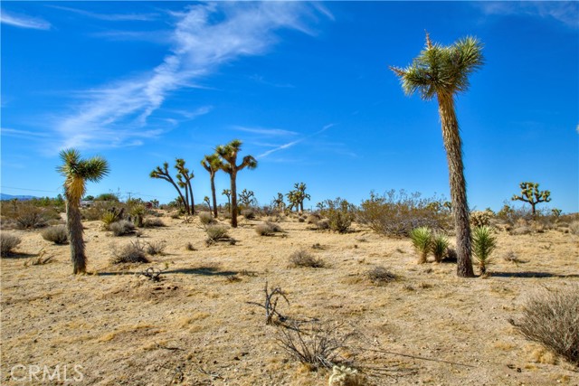 Detail Gallery Image 2 of 21 For 5 Parcel 05 Julcrest Rd, Yucca Valley,  CA 92284 - – Beds | – Baths