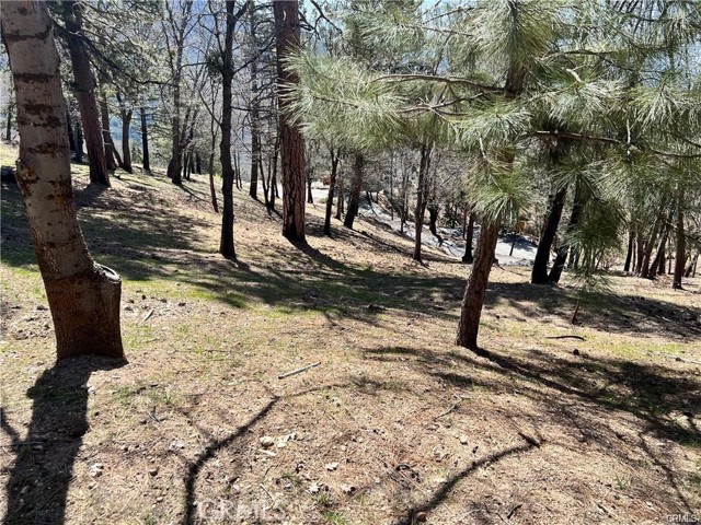 41 Fredalba Road, Running Springs CA: https://media.crmls.org/medias/33329695-7b8e-4705-bdba-2f1959ffdde1.jpg