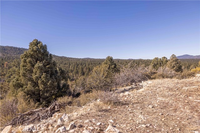 Detail Gallery Image 14 of 31 For 1110 Central, Big Bear City,  CA 92314 - – Beds | – Baths