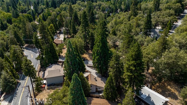 Detail Gallery Image 47 of 50 For 320 Skyview Ln, Crestline,  CA 92322 - 4 Beds | 2 Baths