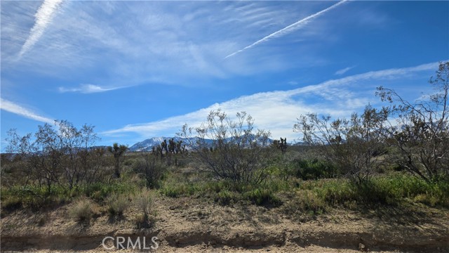 Detail Gallery Image 12 of 50 For 0 Fort Tejon Rd Vicinity 181st St E, Llano,  CA 93544 - – Beds | – Baths