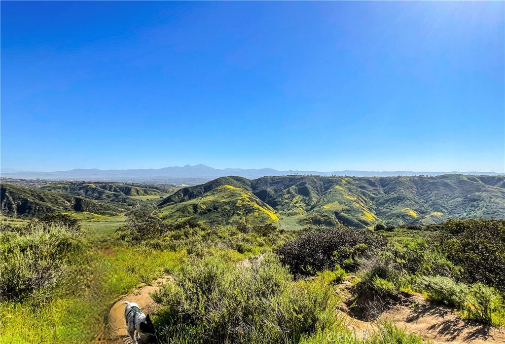 3338b12b 2eb1 44c0 8c57 Bf53a8411faf