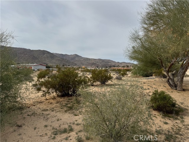 Detail Gallery Image 2 of 3 For 0 Joshua Dr, Twentynine Palms,  CA 92277 - – Beds | – Baths