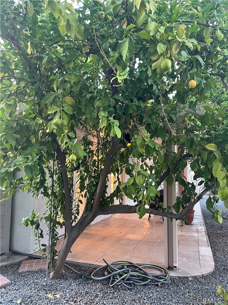 MLS #SB25246329 image #35