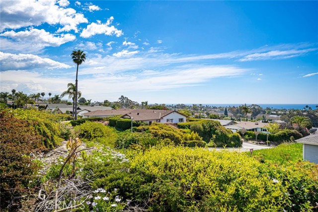 Detail Gallery Image 40 of 51 For 4201 Calle Juno, San Clemente,  CA 92673 - 4 Beds | 3/1 Baths