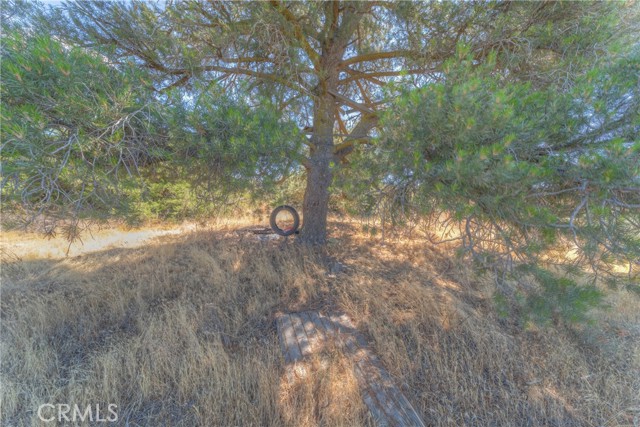 Image 12 of 33 For 0 Wellman  